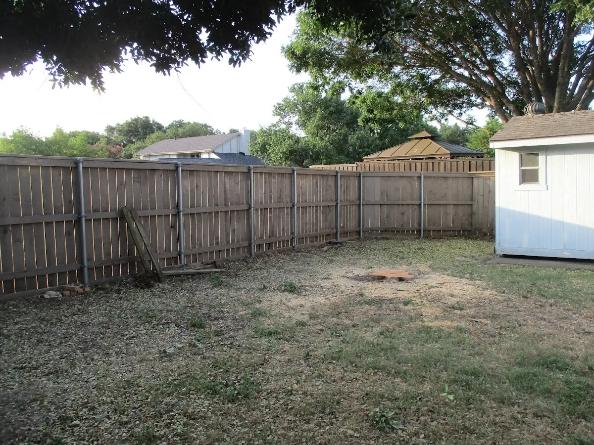 Cleared yard after professional tree removal in Nogales